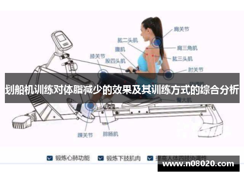划船机训练对体脂减少的效果及其训练方式的综合分析
