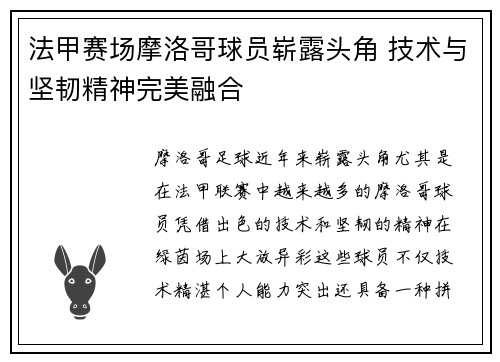 法甲赛场摩洛哥球员崭露头角 技术与坚韧精神完美融合